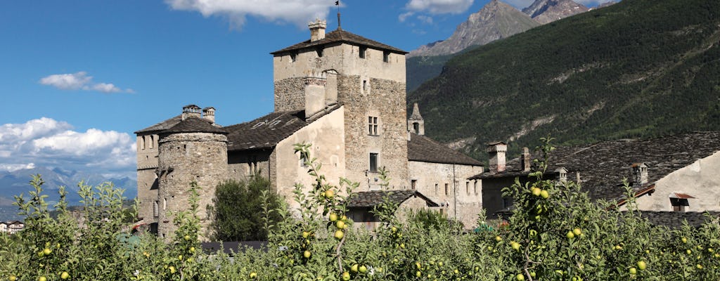 Tour di un'intera giornata dei castelli da Aosta