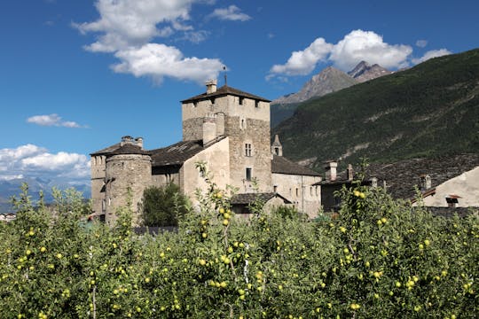 Full-day castle tour from Aosta