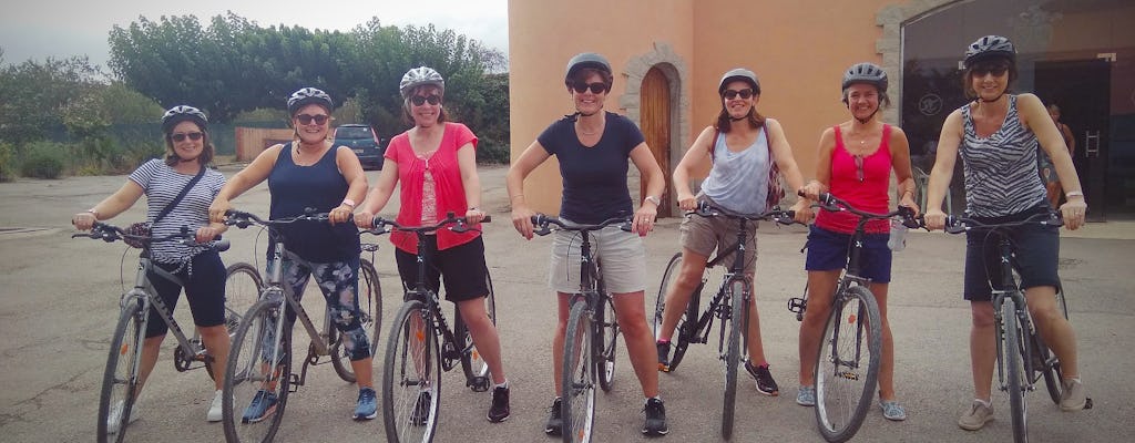Wine bike tour from Sitges