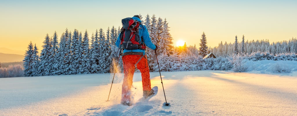 Caminata con raquetas de nieve en Laponia hasta la mina de amatista