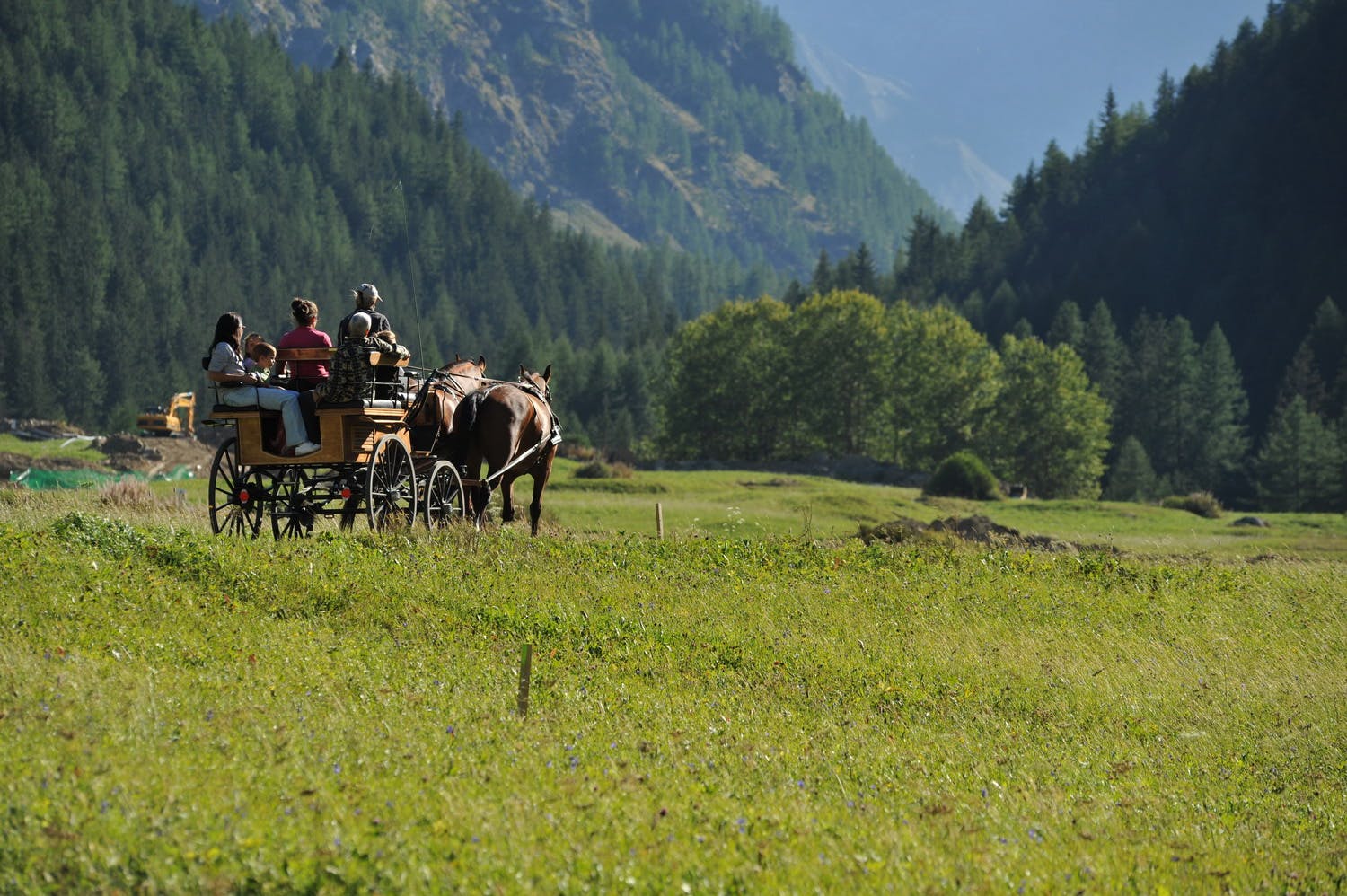Tocht met paard of wagen door het Gran Paradiso-park