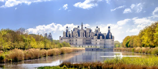 Private guided  tour in Chambord Castle