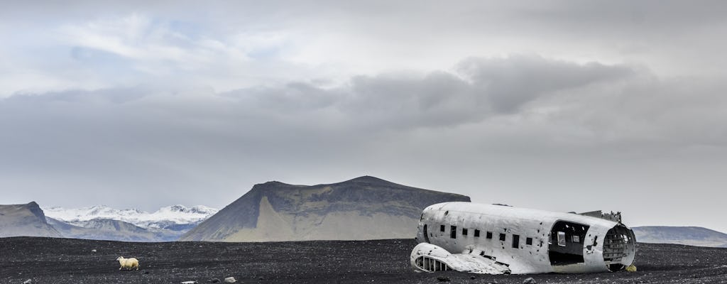 Tour di un'intera giornata in kayak della costa meridionale e del ghiacciaio