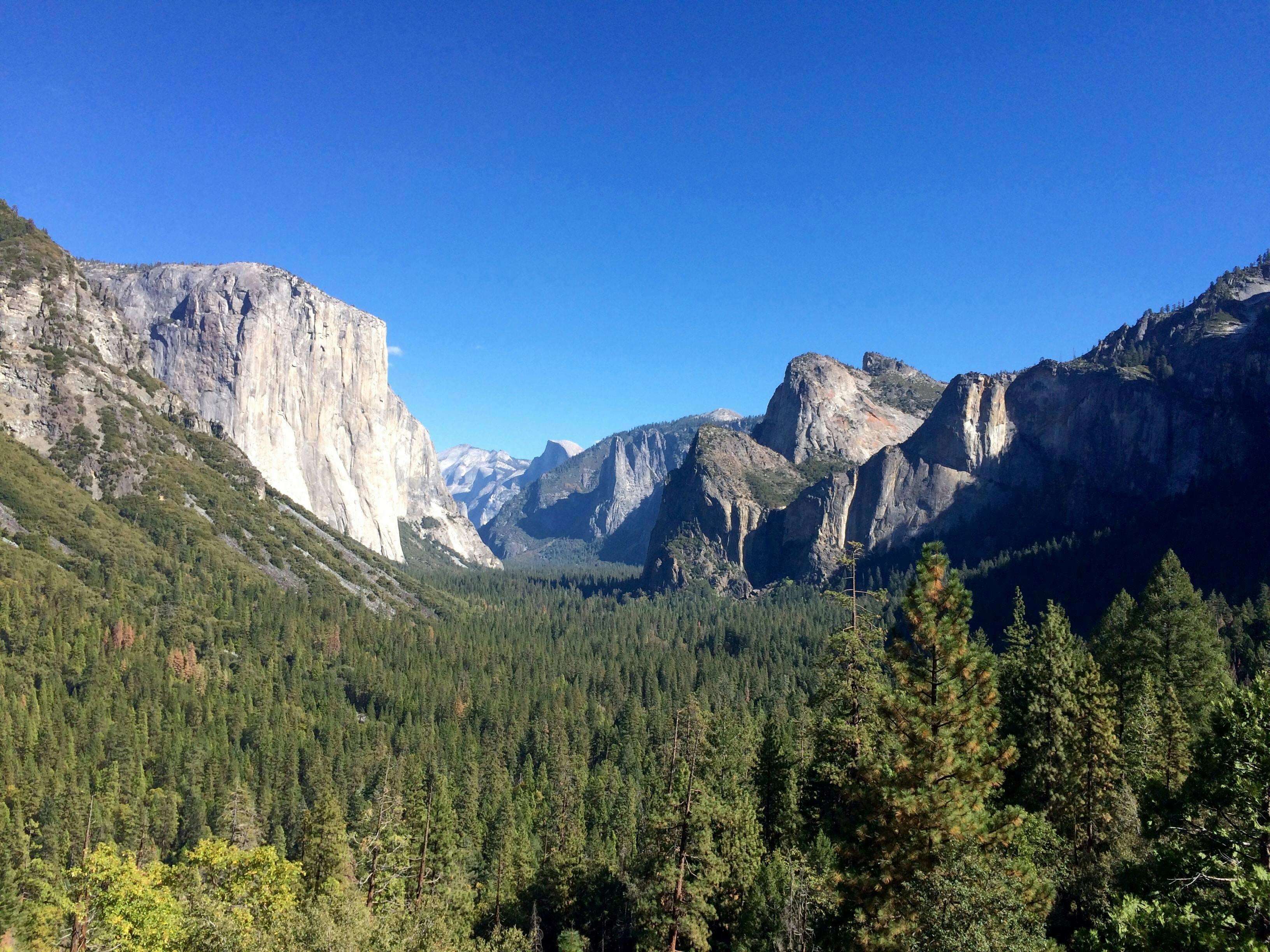 Passeio de um dia no Parque Nacional de Yosemite