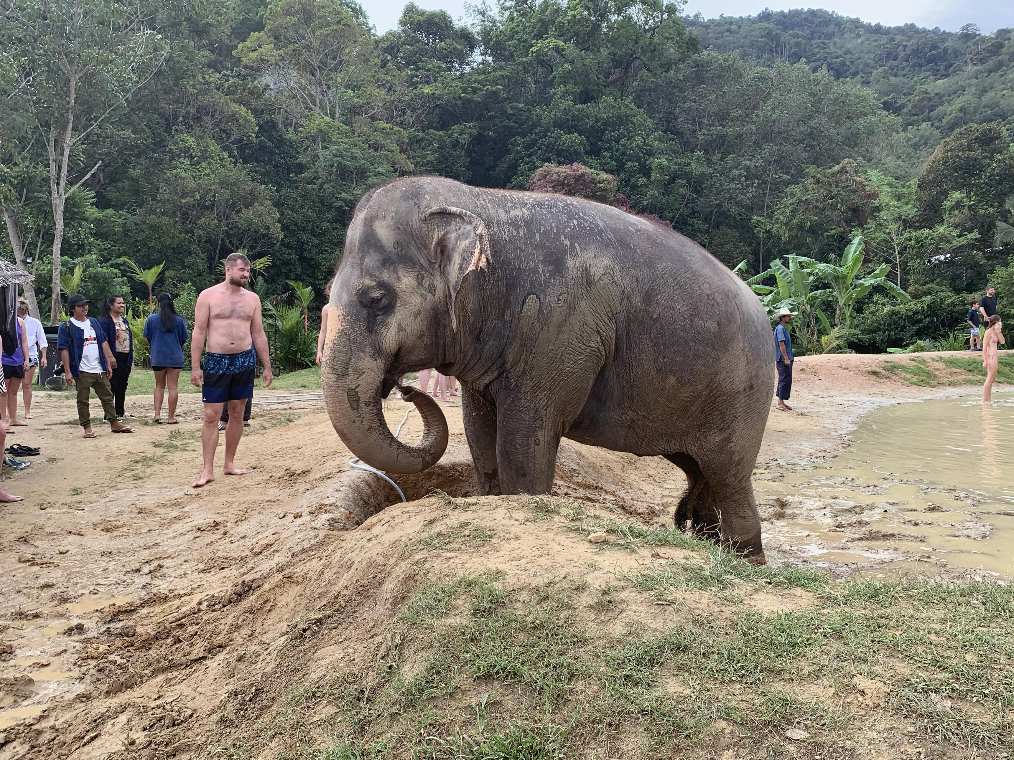Spotkanie ze słoniami w Phuket