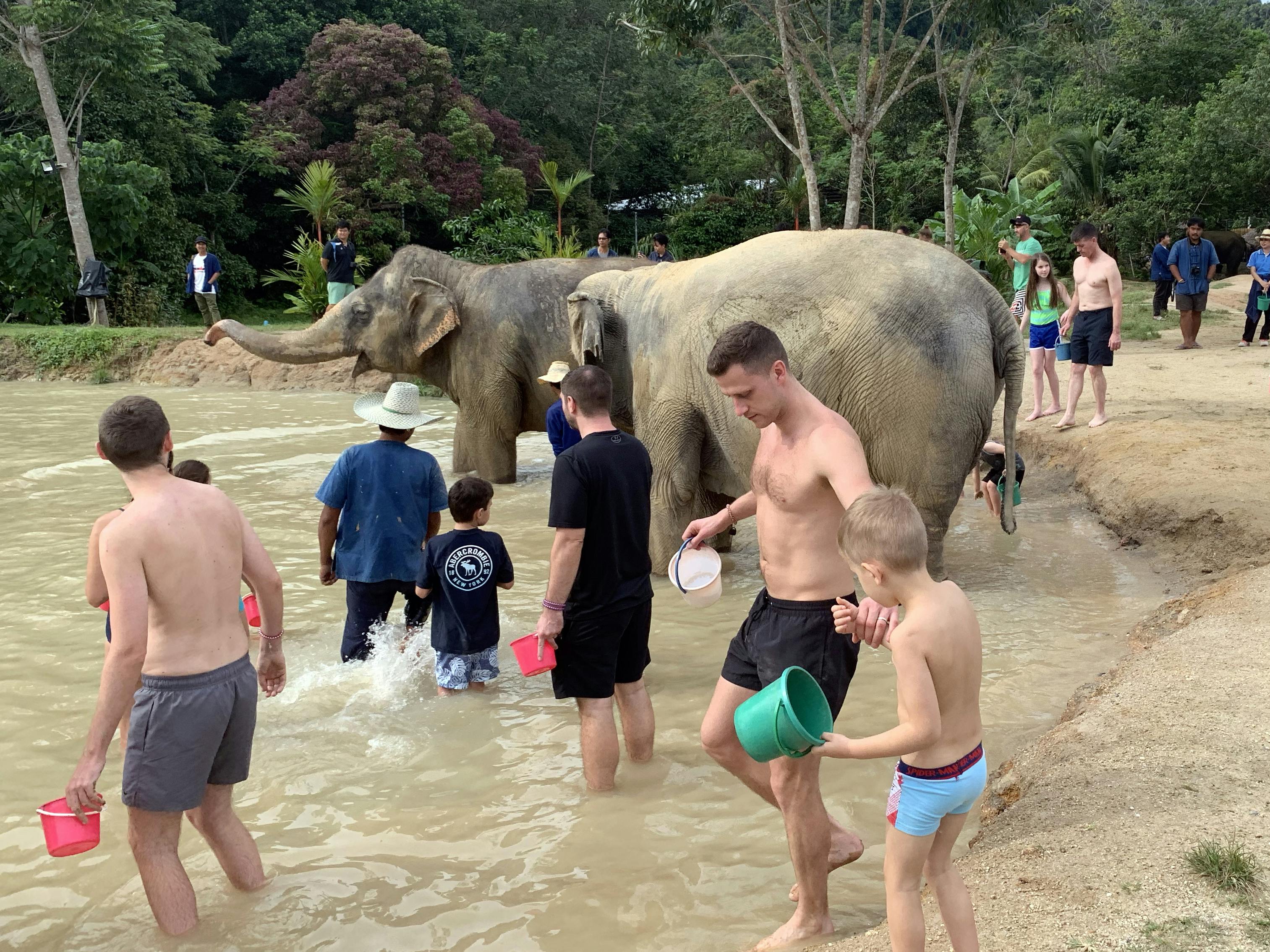 Spotkanie ze słoniami w Phuket