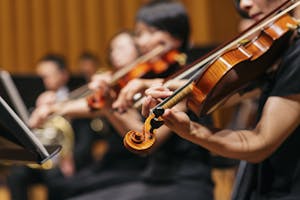 Spectacles, musique et vie nocturne