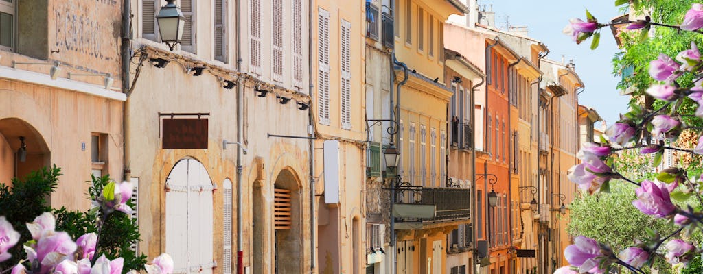 Excursão a pé privada em Aix-en-Provence