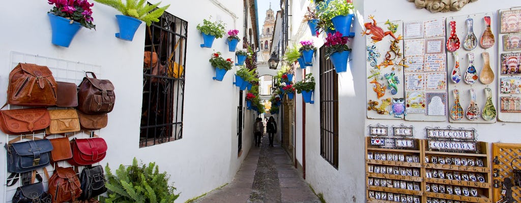 Jewish Quarter of Córdoba guided tour with entrance to the Synagogue