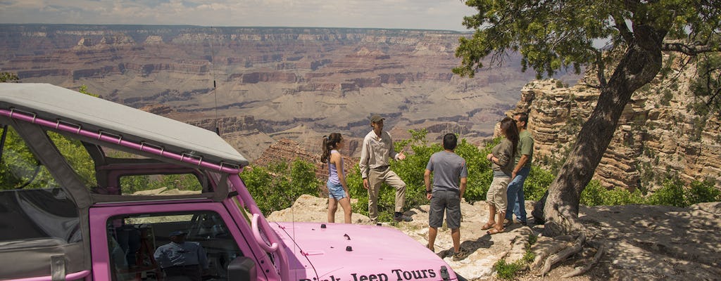 Visite du Grand Canyon avec vues panoramiques sur le désert