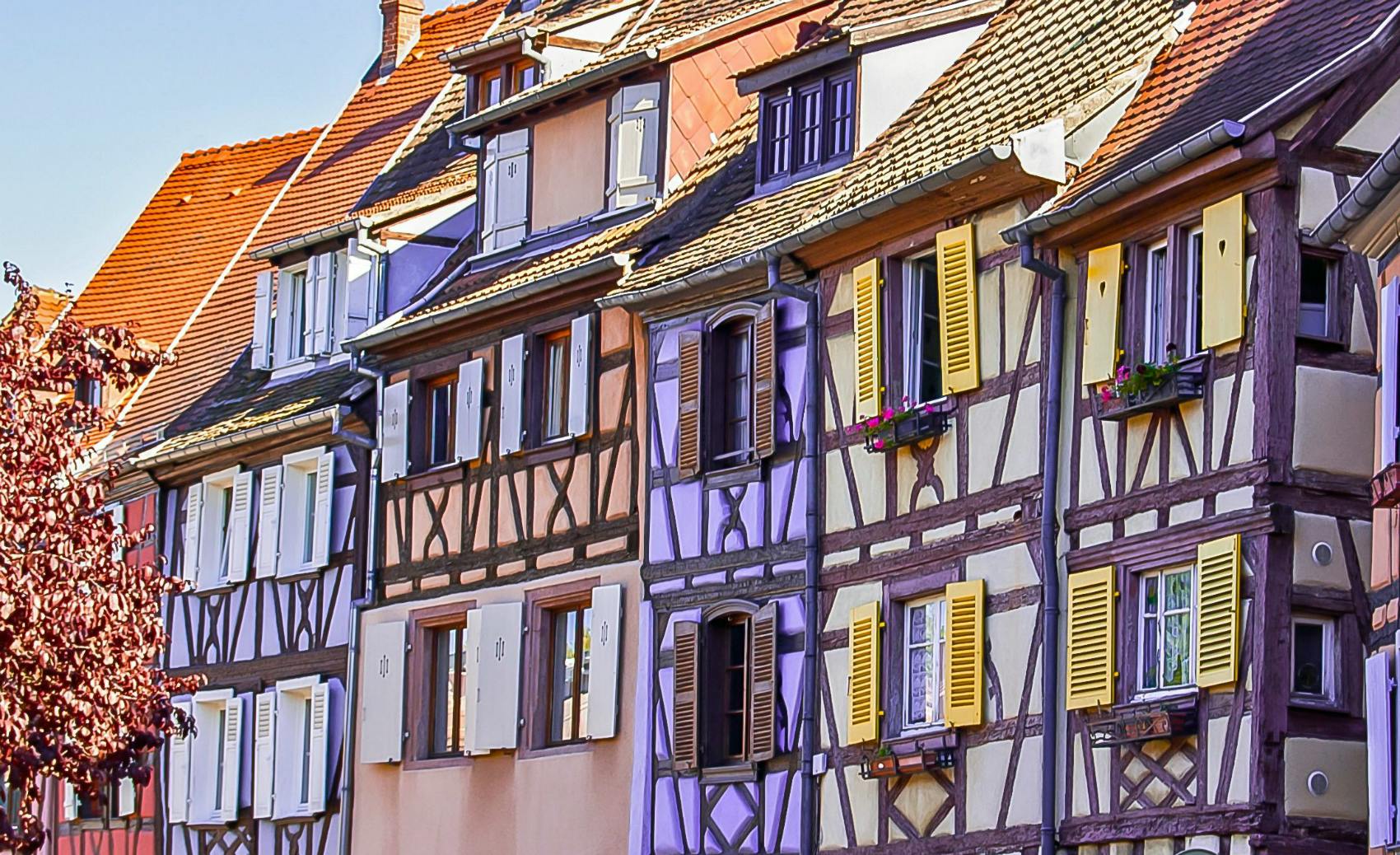 low alsace houses.png