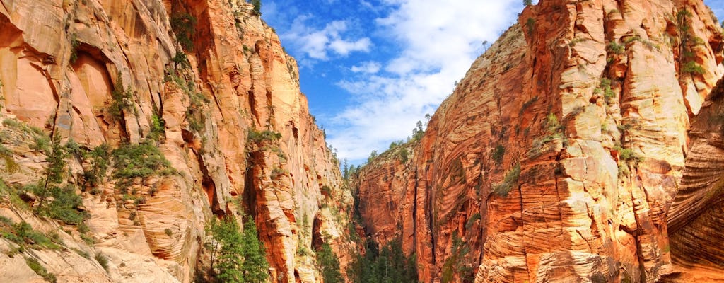 Zion Canyon south rim private tour