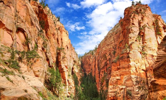 Zion Canyon South Rim Private Tour