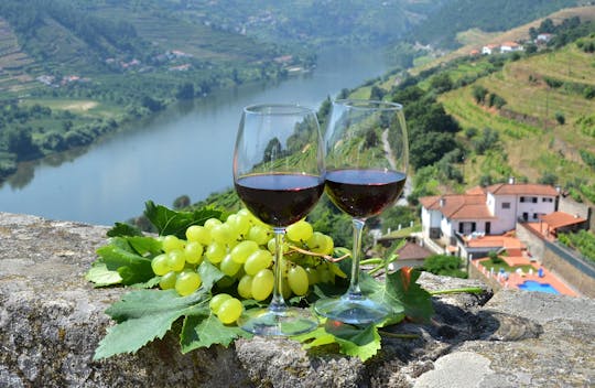 Tour per piccoli gruppi nella valle del Douro con degustazione di vini da Porto