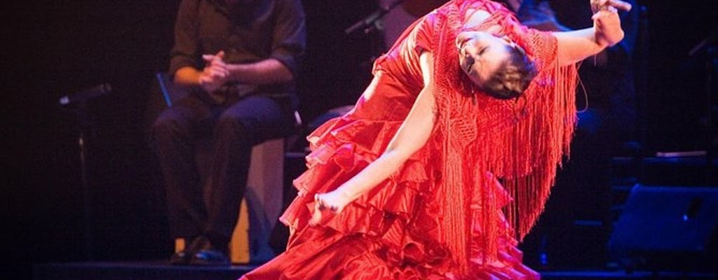 Tapas- en wijnwandeling met flamenco-ervaring
