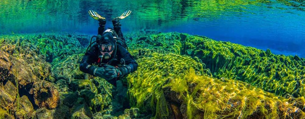 In het blauwe snorkelen in Silfra