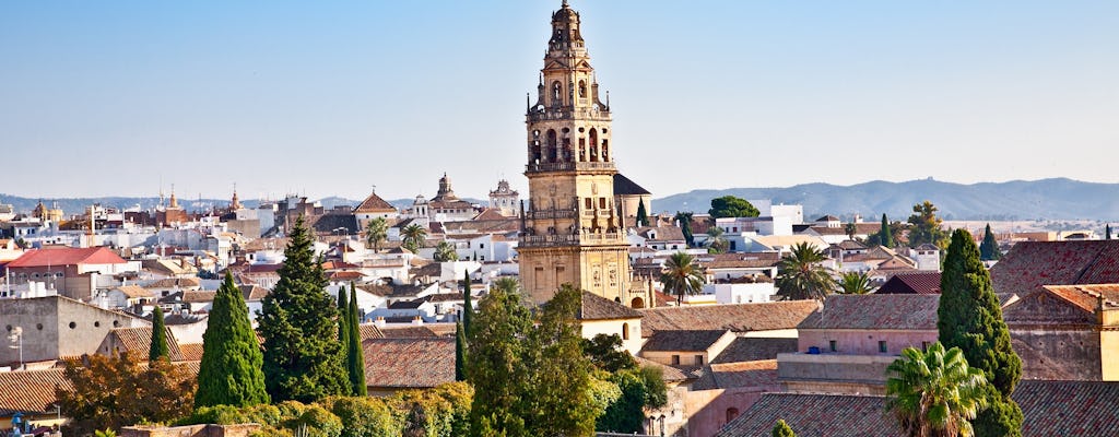 Full day trip to Córdoba from Seville