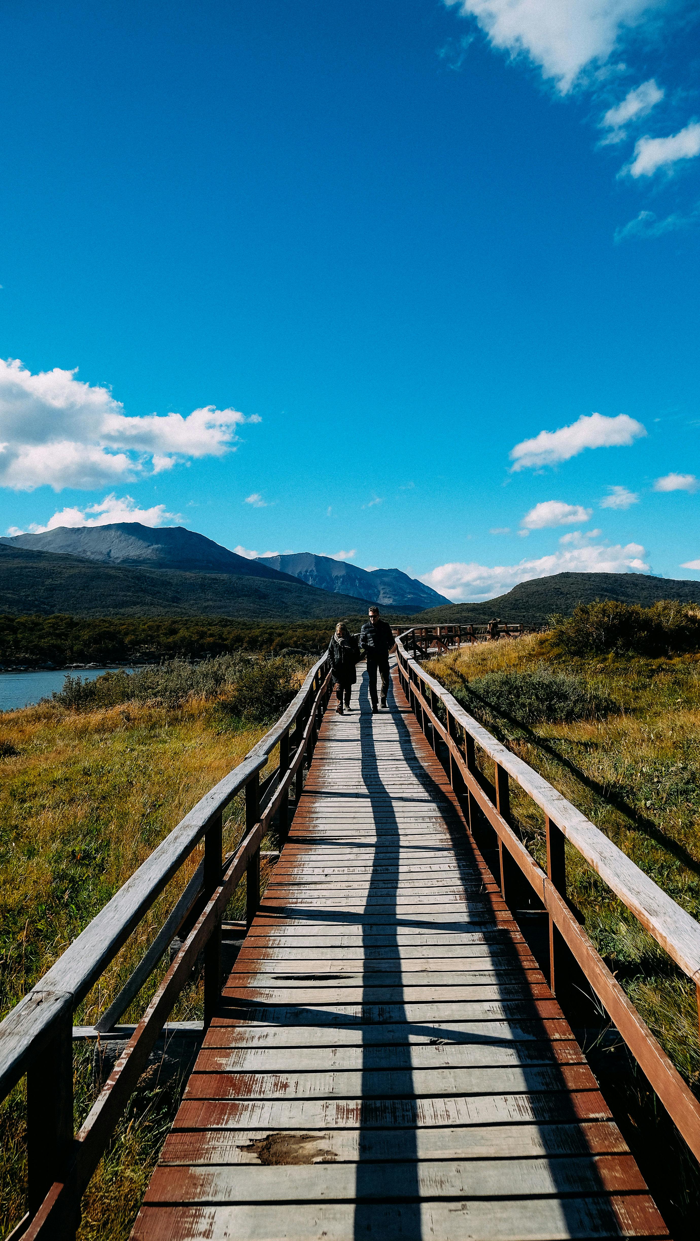 Półdniowa wycieczka do Parku Narodowego Tierra del Fuego