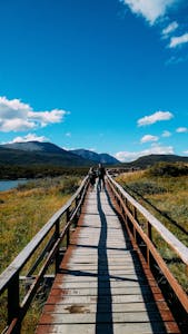 Tours de un día y Excursiones