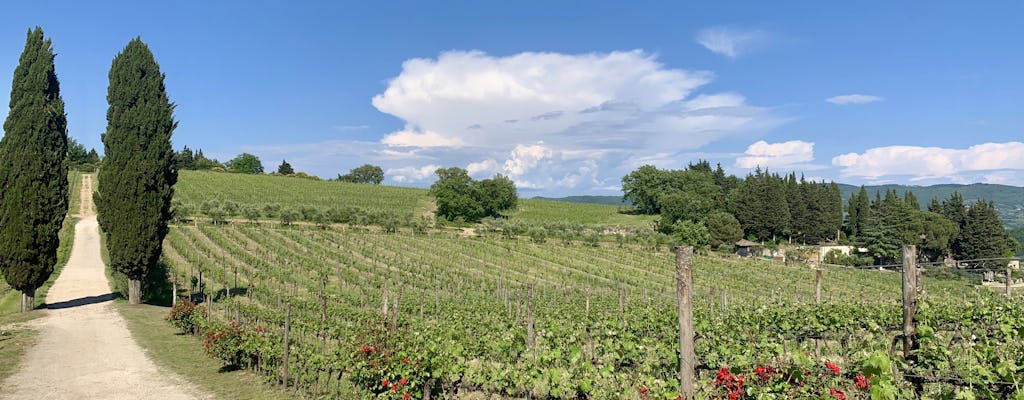 Colinas de Chianti e experiência do vinho Radda