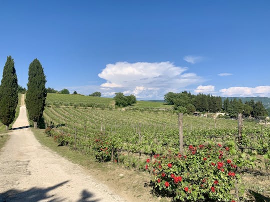 Wzgórza Chianti i wina Radda