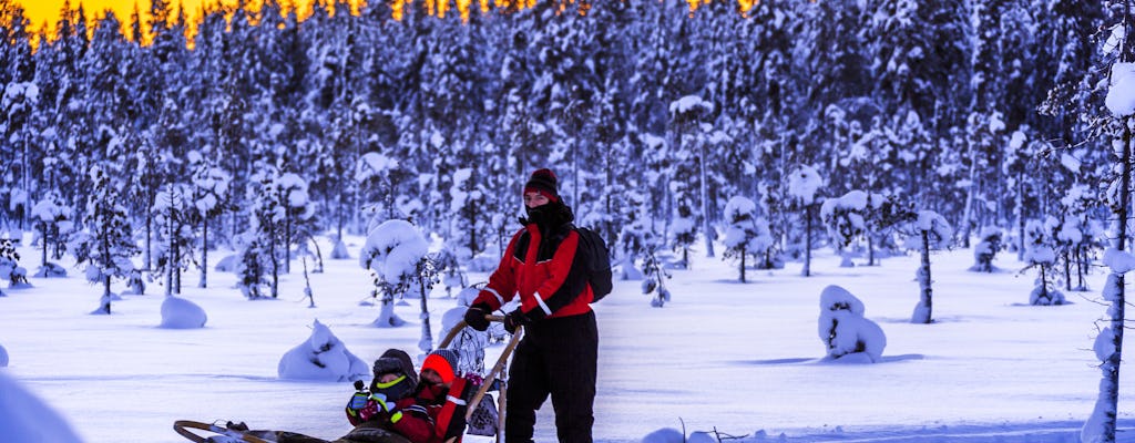 TUI Rovaniemi husky sleigh tour