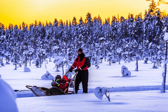 Rovaniemi | TUI Musement