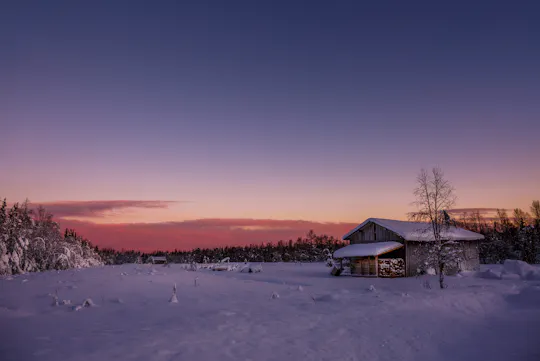 Saariselka reindeer sleigh tour