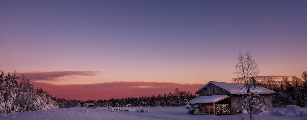 Saariselka Reindeer Sleigh Tour