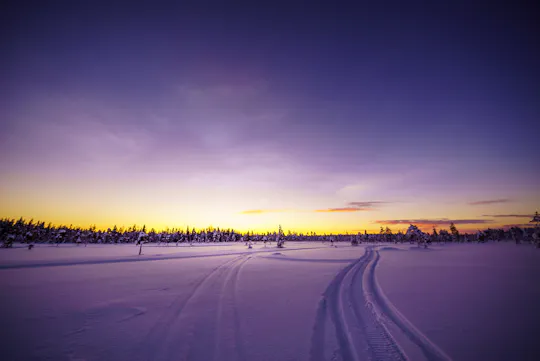 Rovaniemi snowmobile day tour