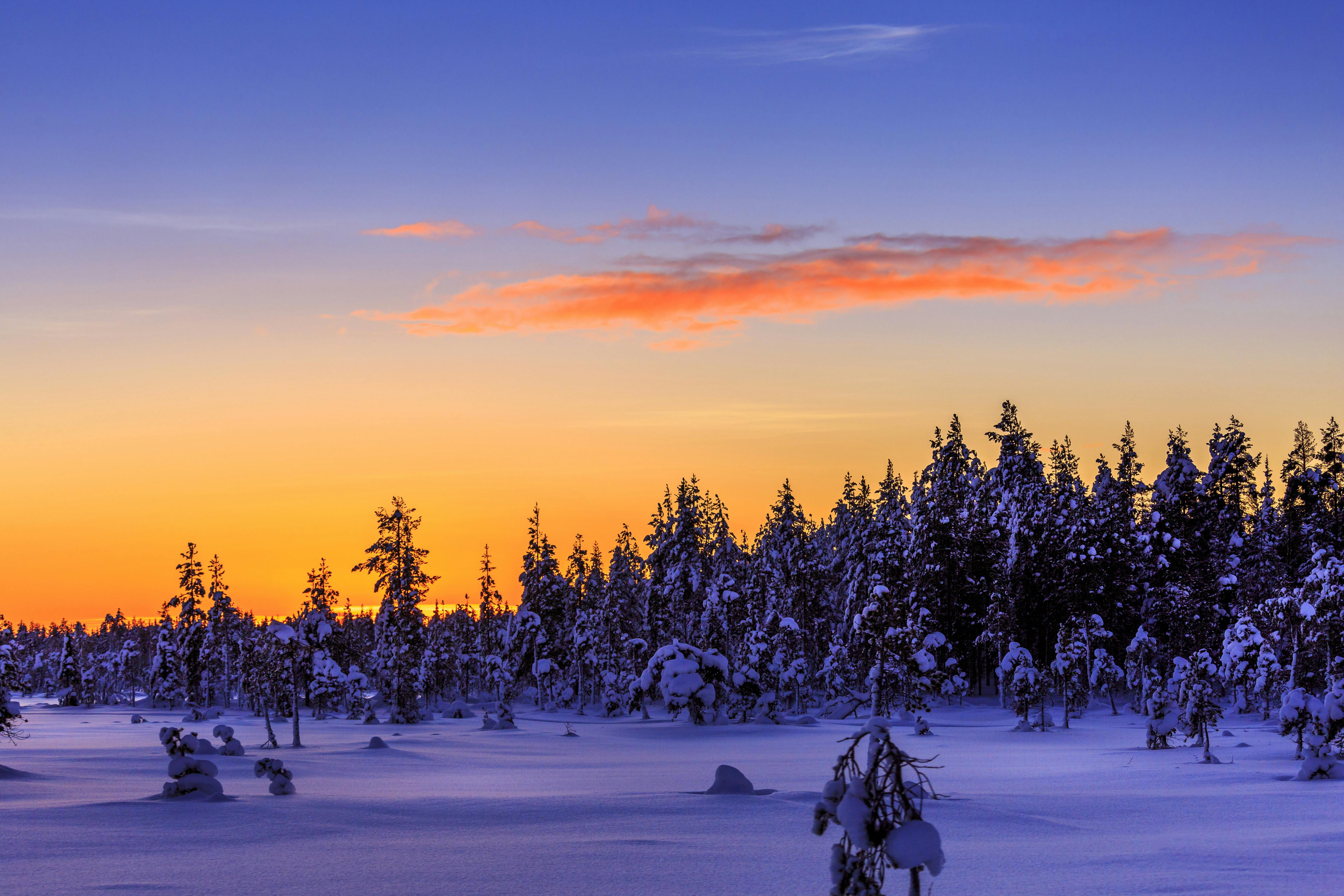 Saariselka Snowmobile Day Tour