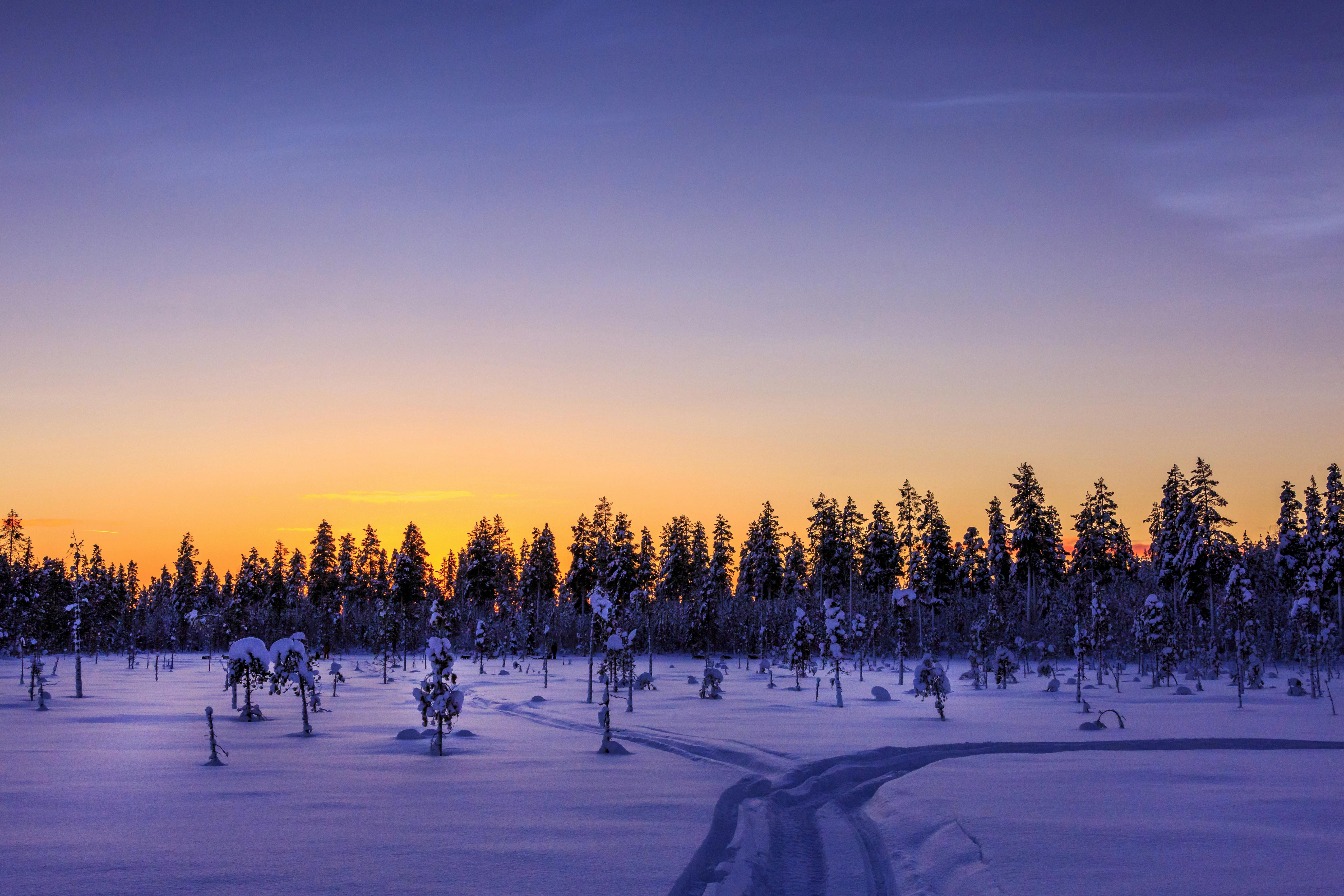 Saariselka Snowmobile Day Tour