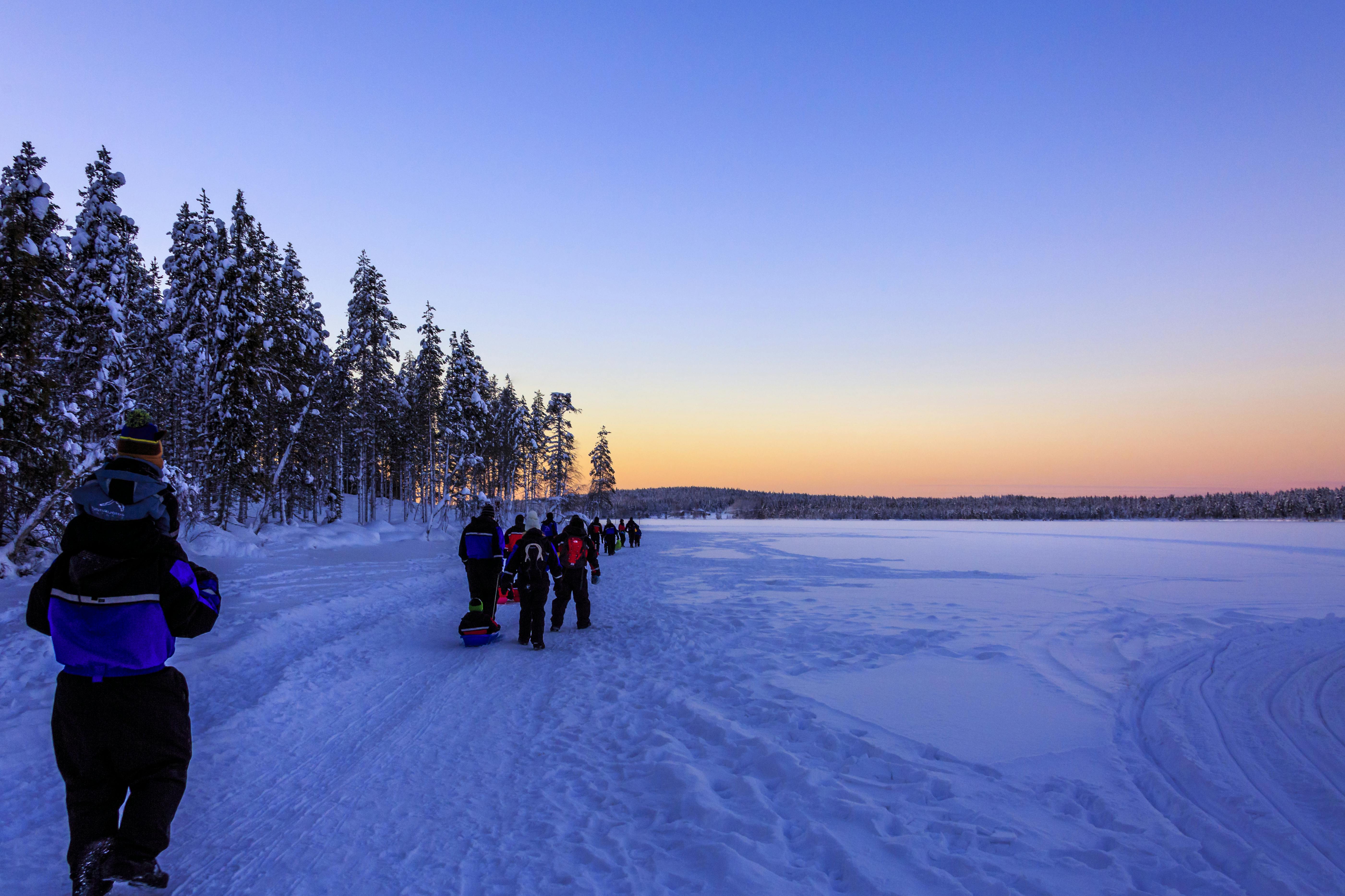 Rovaniemi Elf Adventure Tour