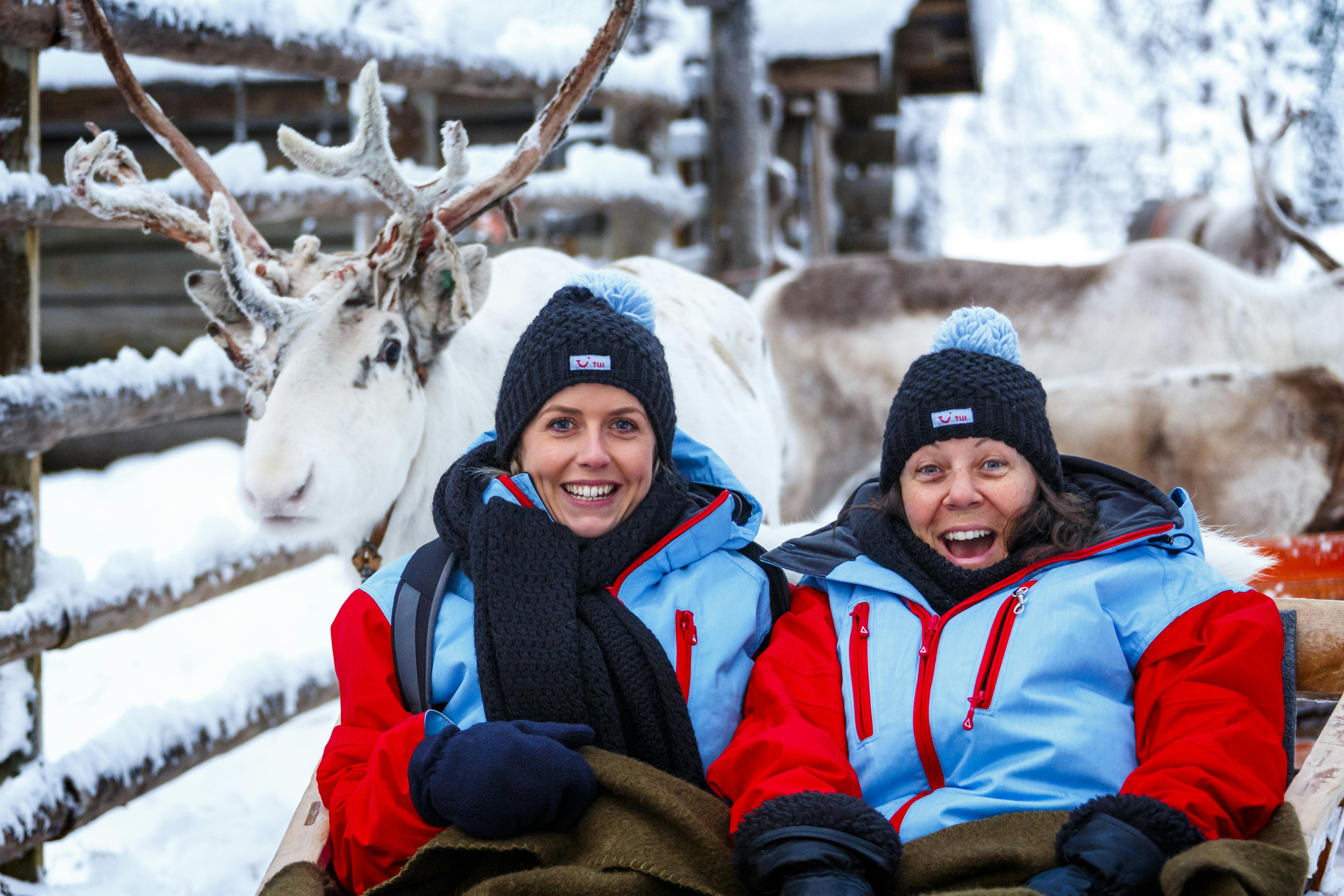 Rovaniemi Reindeer Sleigh Tour