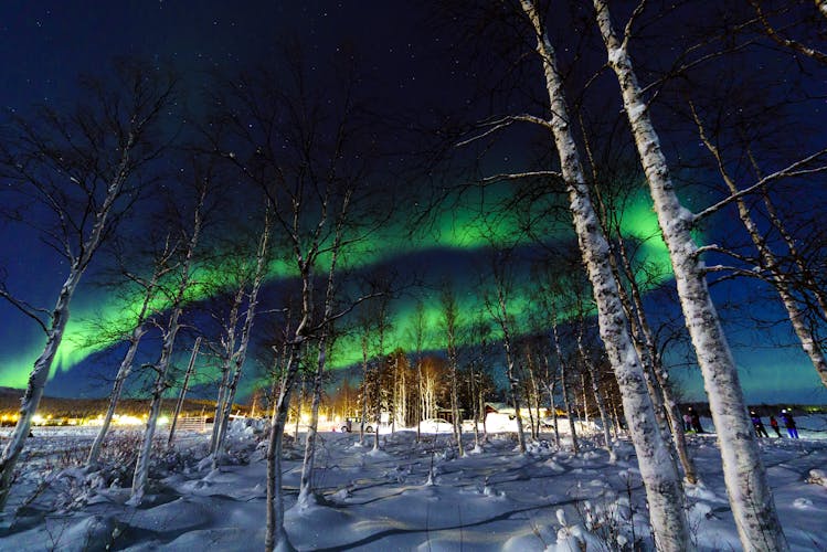 Northern Lights Snowmobile Tour