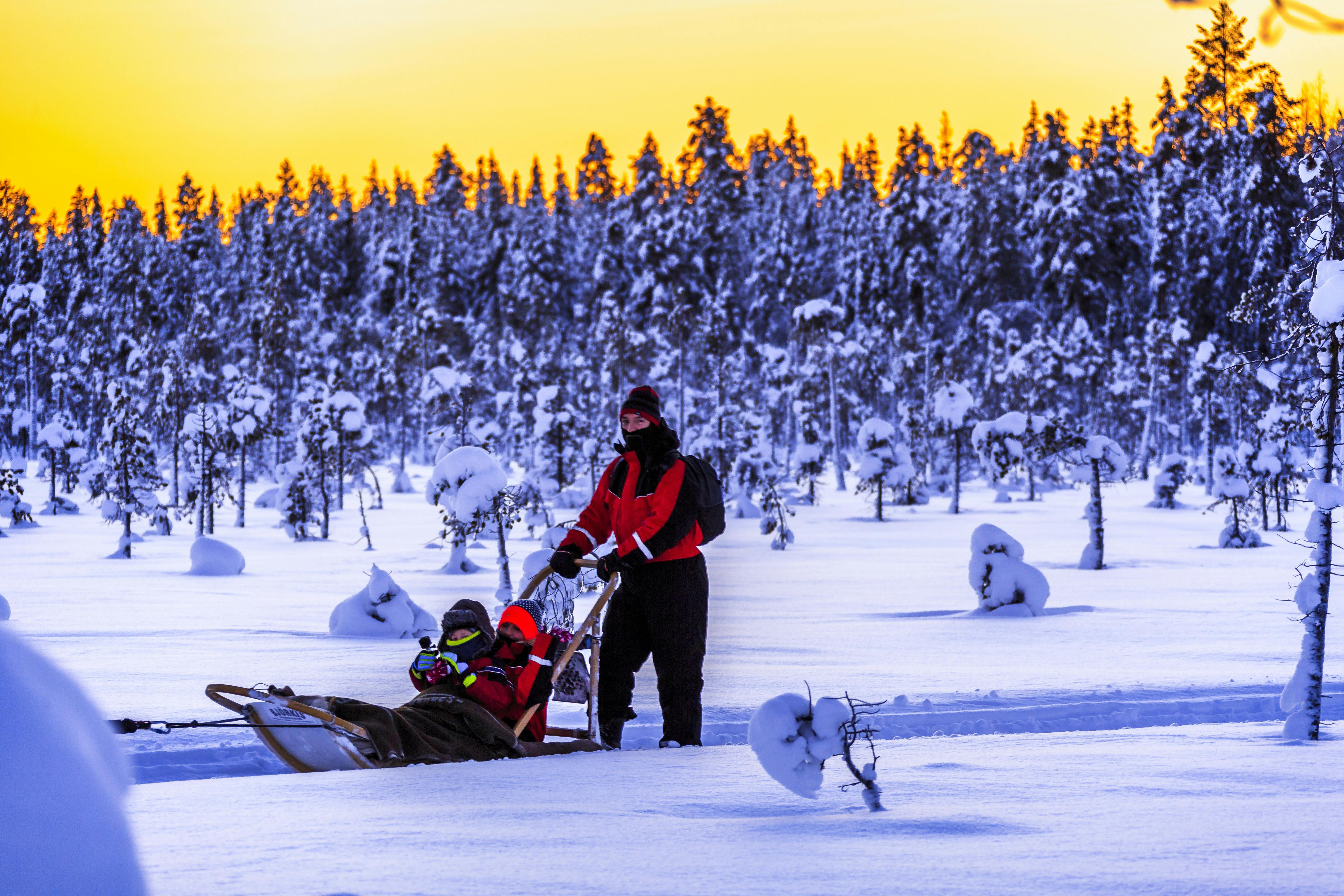 Saariselka Husky Sleigh Tour