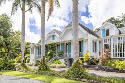 Mauritian Tea Route Tour