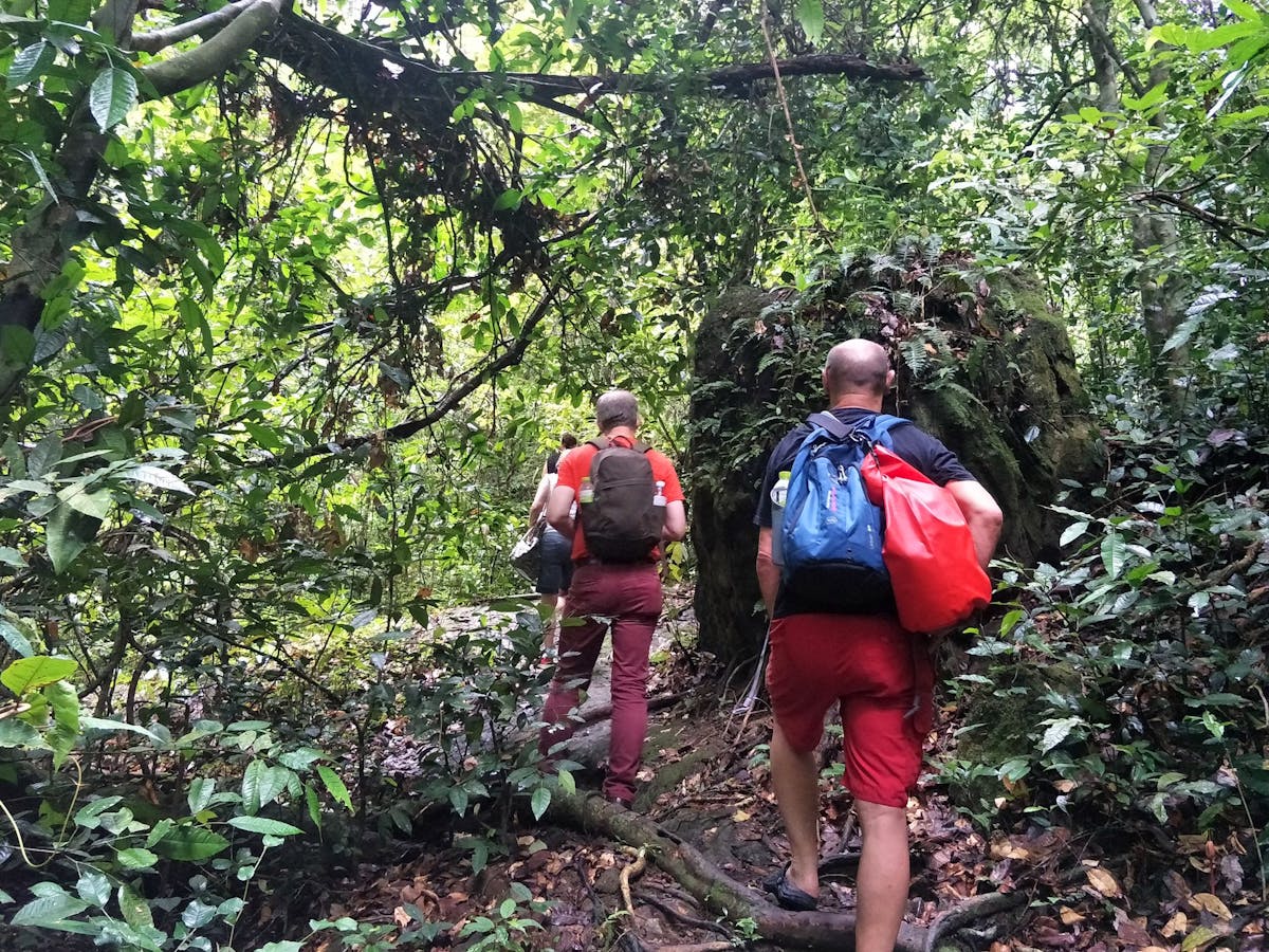 Jungle Trekking Phuket