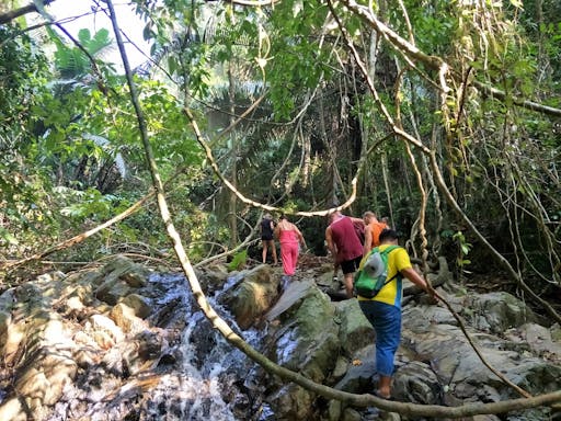 Jungle Trekking Phuket