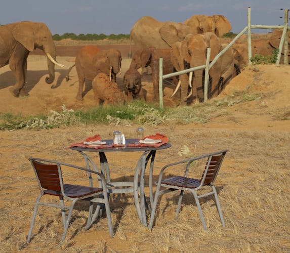 Tsavo, Taita and Amboseli 4-day safari