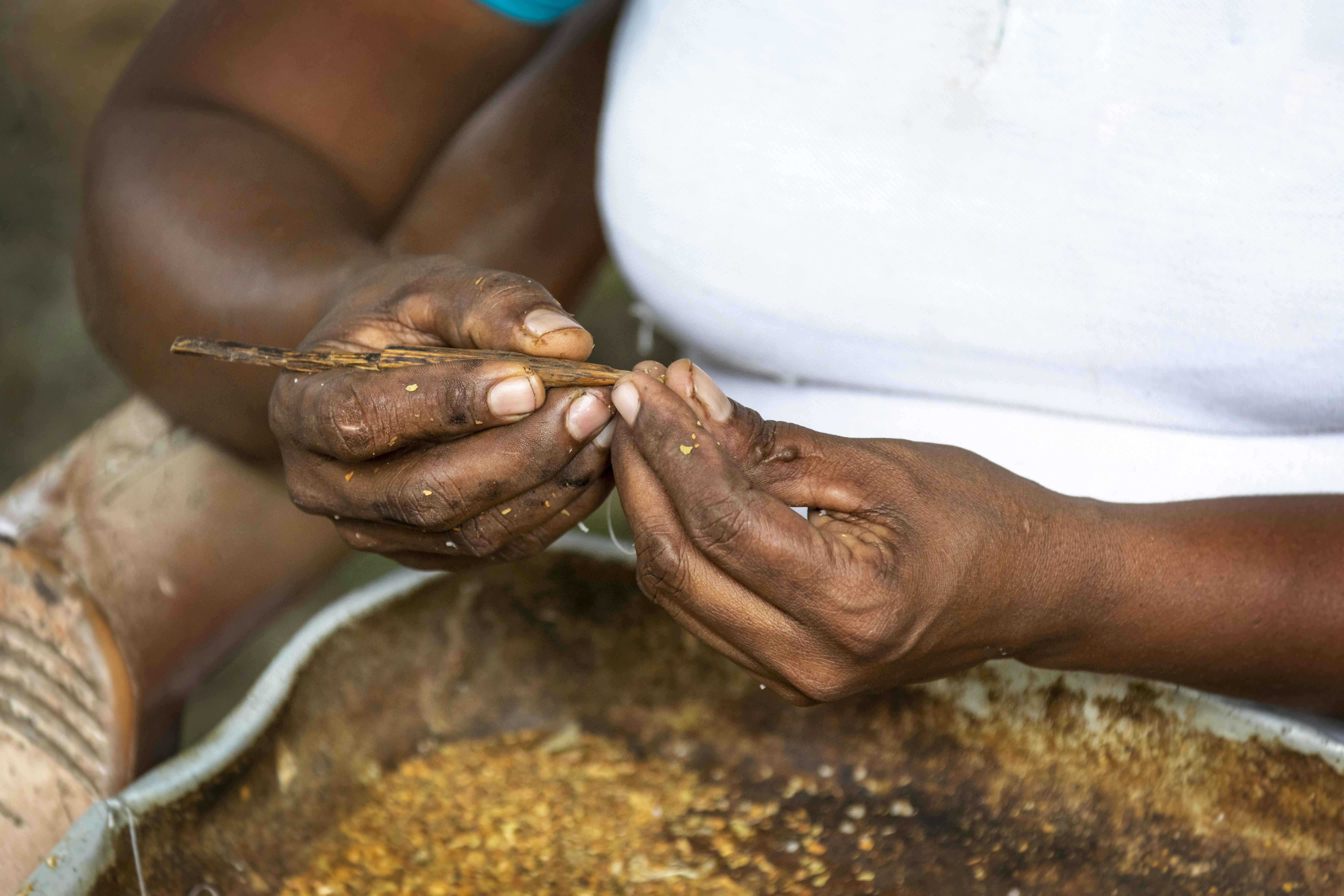 Agro Village Traditions