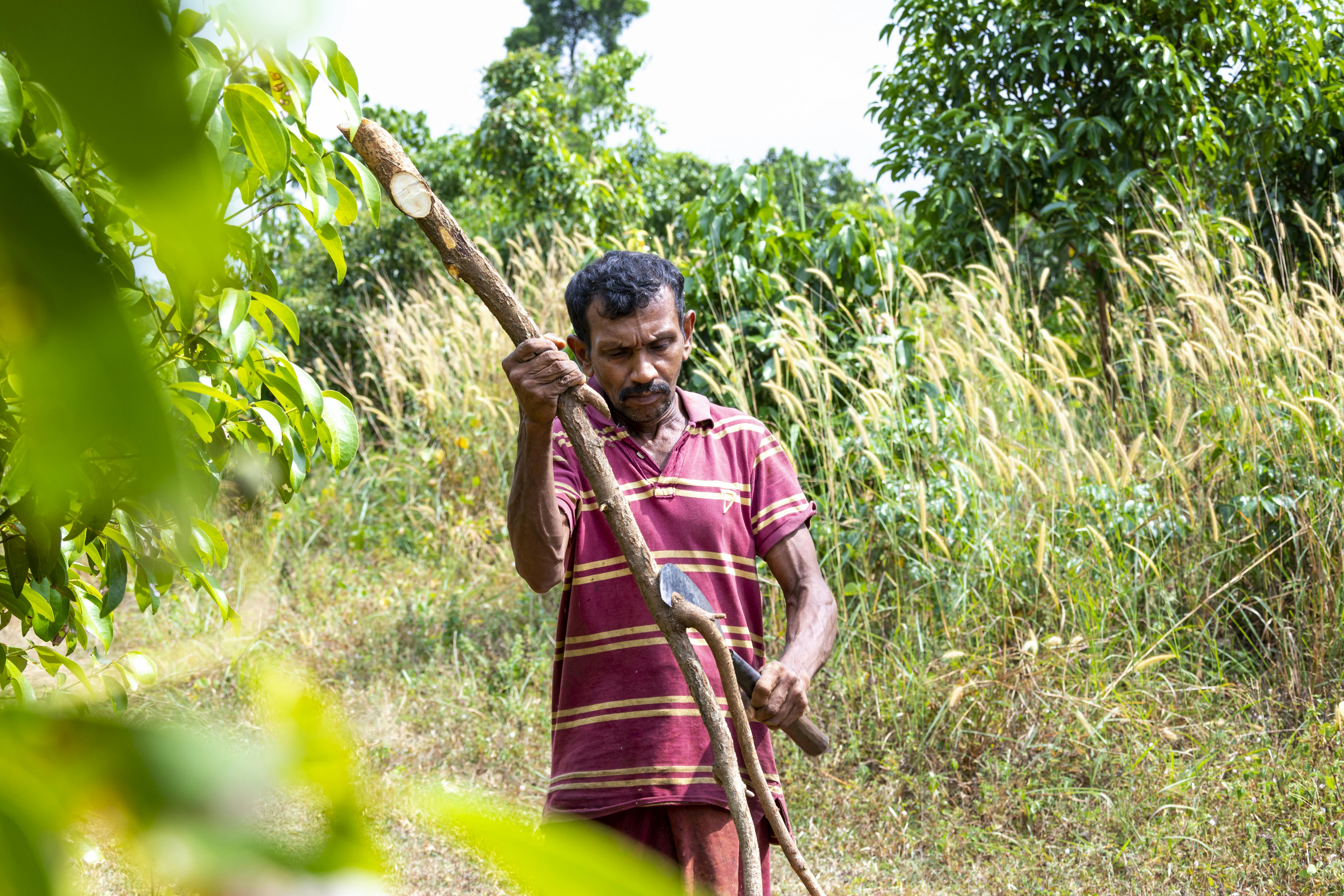 Agro Village Traditions