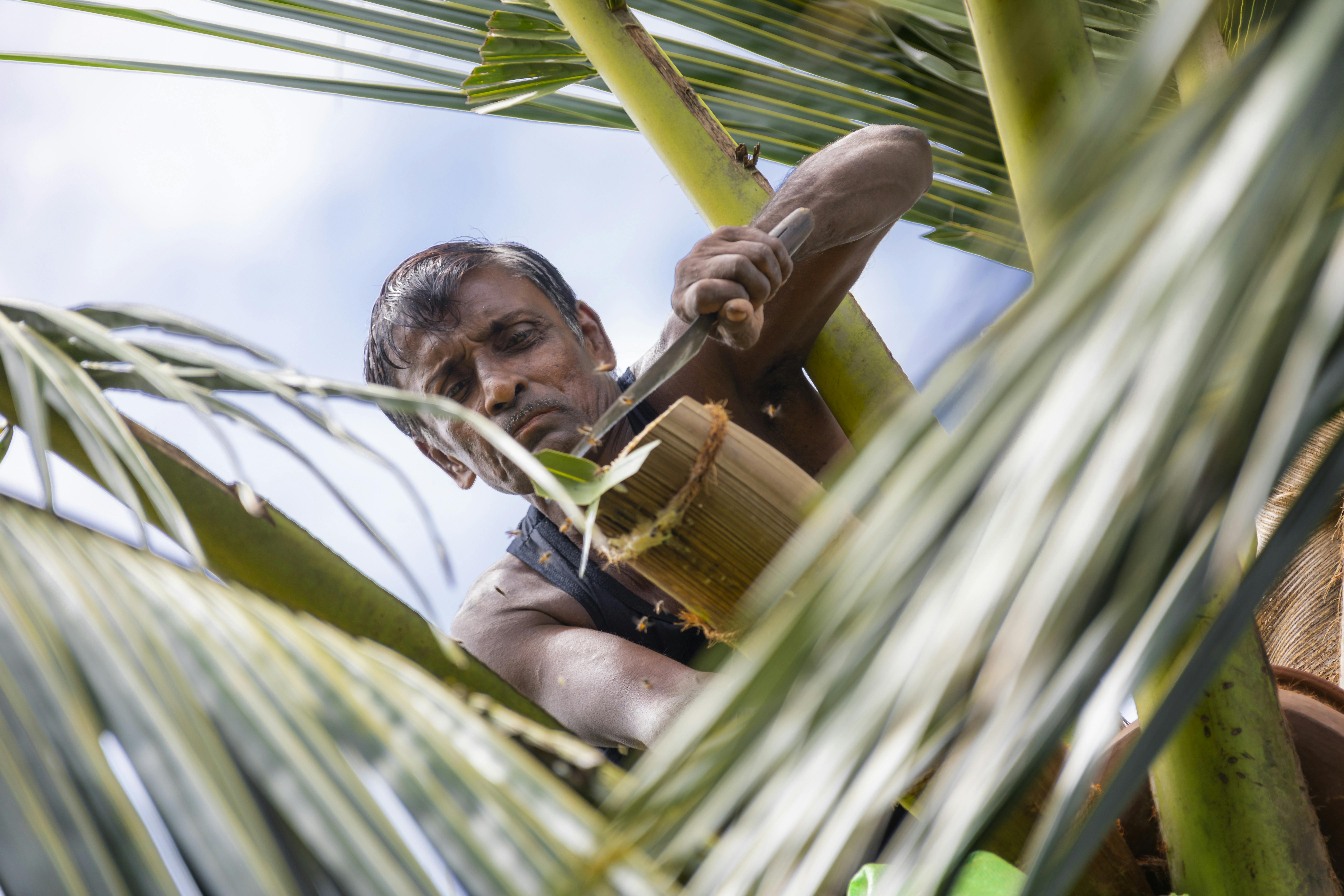 Agro Village Traditions