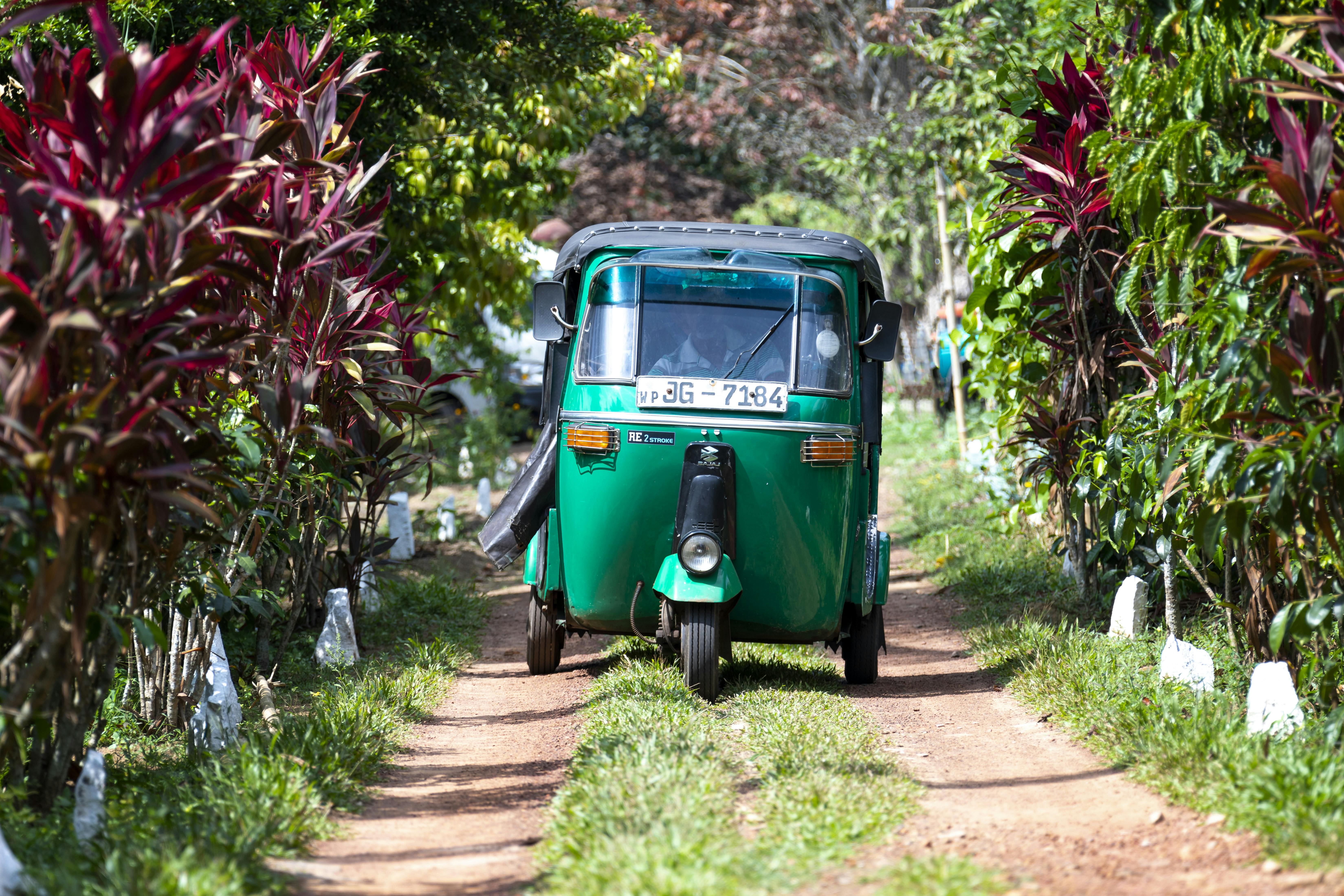 Agro Village Traditions