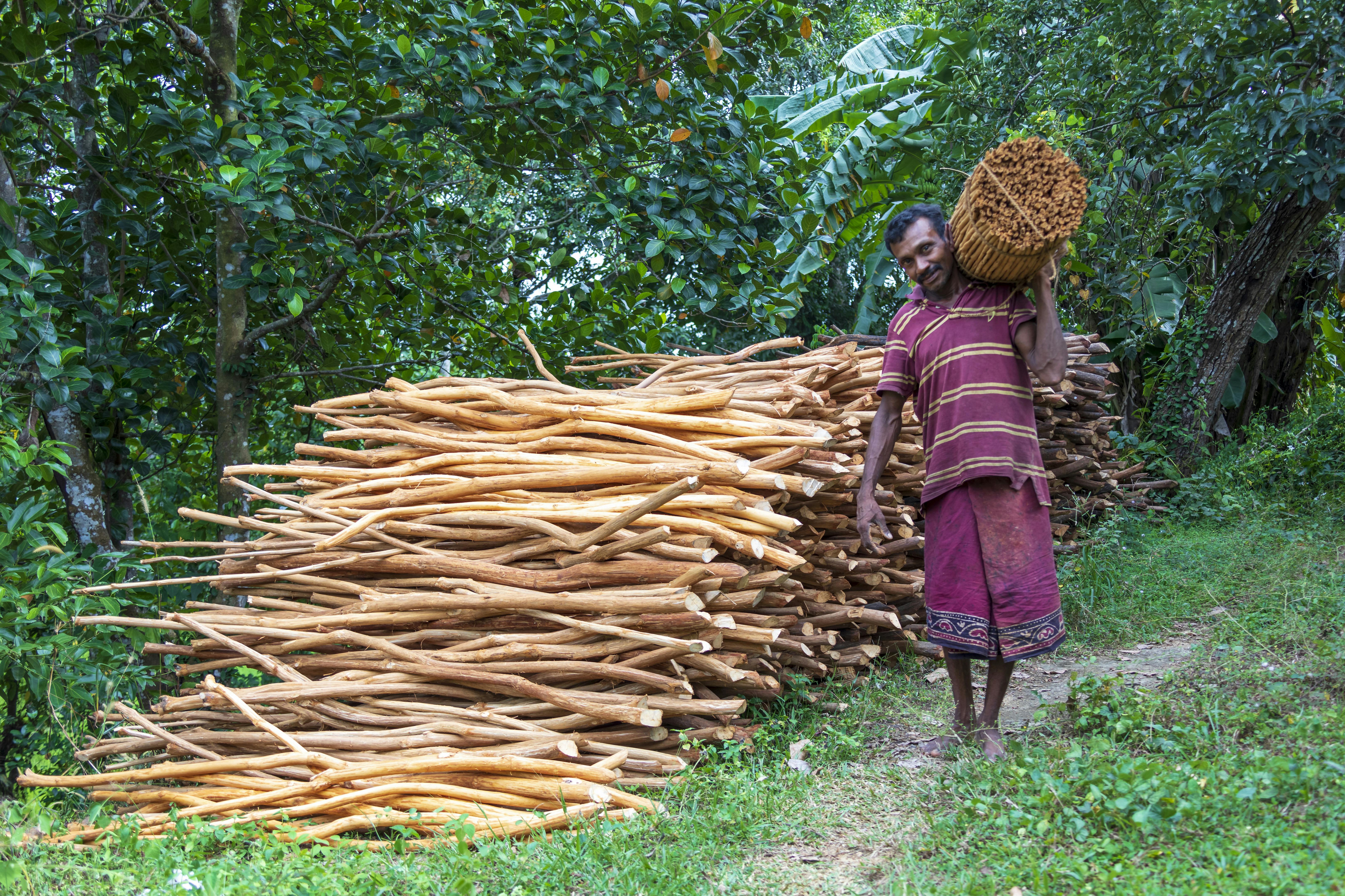 Agro Village Traditions