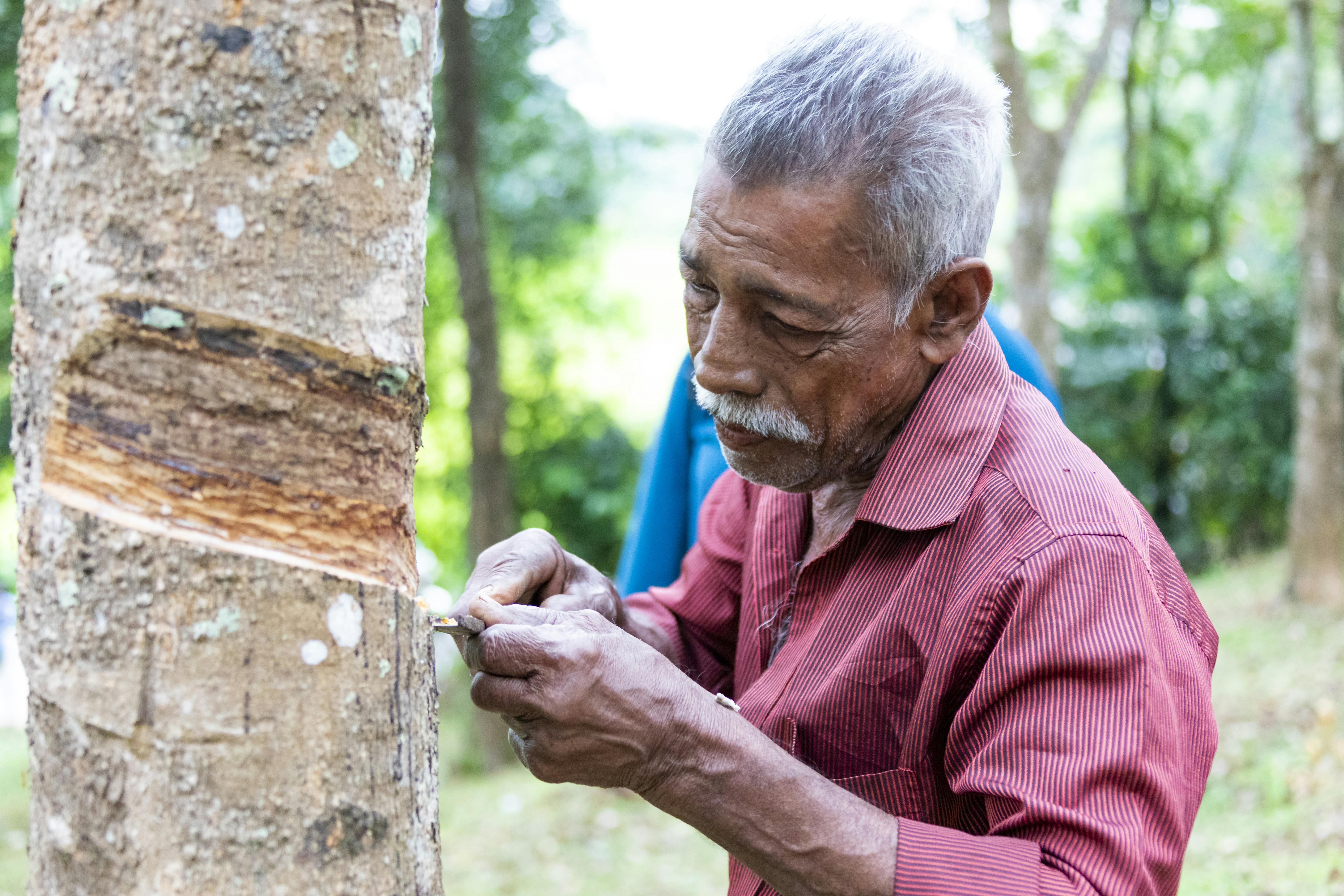 Agro Village Traditions