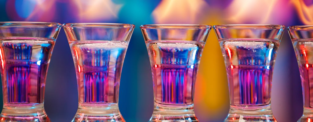 Tour privato di degustazione di vodka a Cracovia