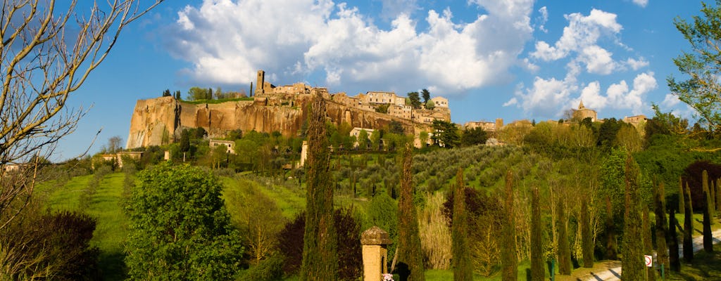 Excursion d'une journée à Orvieto depuis Rome avec dégustation de vin et déjeuner