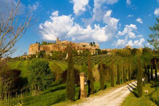 Tagesausflug von Rom nach Orvieto mit Weinprobe und Mittagessen