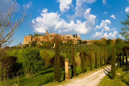 Day tour of Orvieto from Rome with wine tasting and lunch